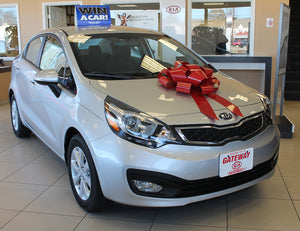 Large Car Bows | US Auto Supplies