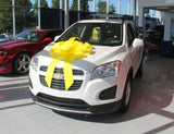 Giant Car Bow | US Auto Supplies