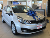Large Car Bows (22 Inch)