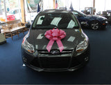 Large Car Bows (22 Inch)