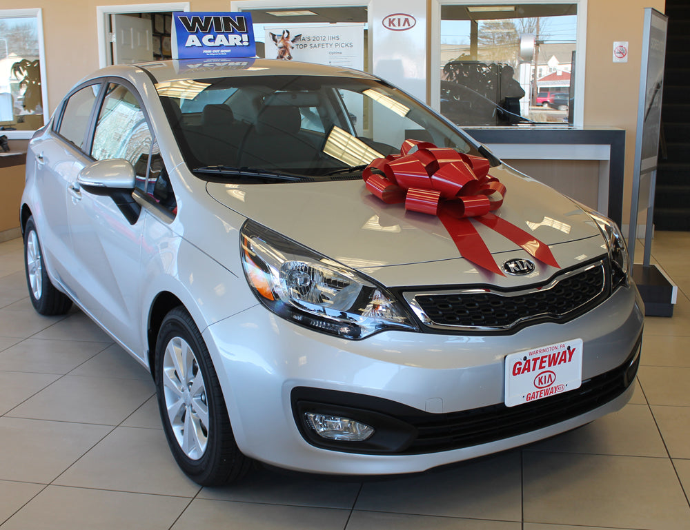 Large Car Bows | US Auto Supplies