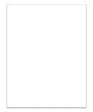 Blank Exterior Dealer Window Stickers (8.5" x 11")