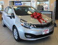 Large Car Bows | US Auto Supplies