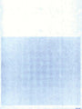 Blank Laser Repair Order Forms